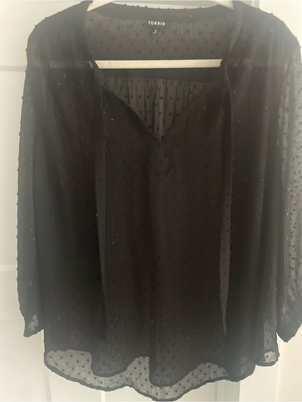 torrid Black Swiss Dot Sheer V-Neck Blouse